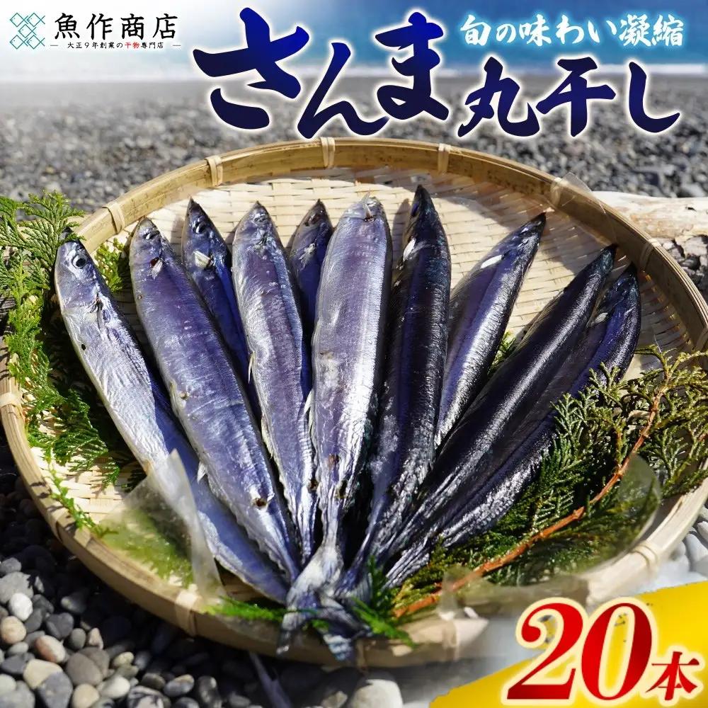 干物 さんま丸干し 20本 干物【uosk0016A】