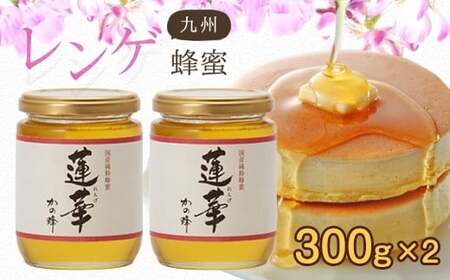 ＜国産＞かの蜂 九州レンゲ蜂蜜【300g×2個】採蜜できる量が少ない貴重な純粋蜂蜜　024-005