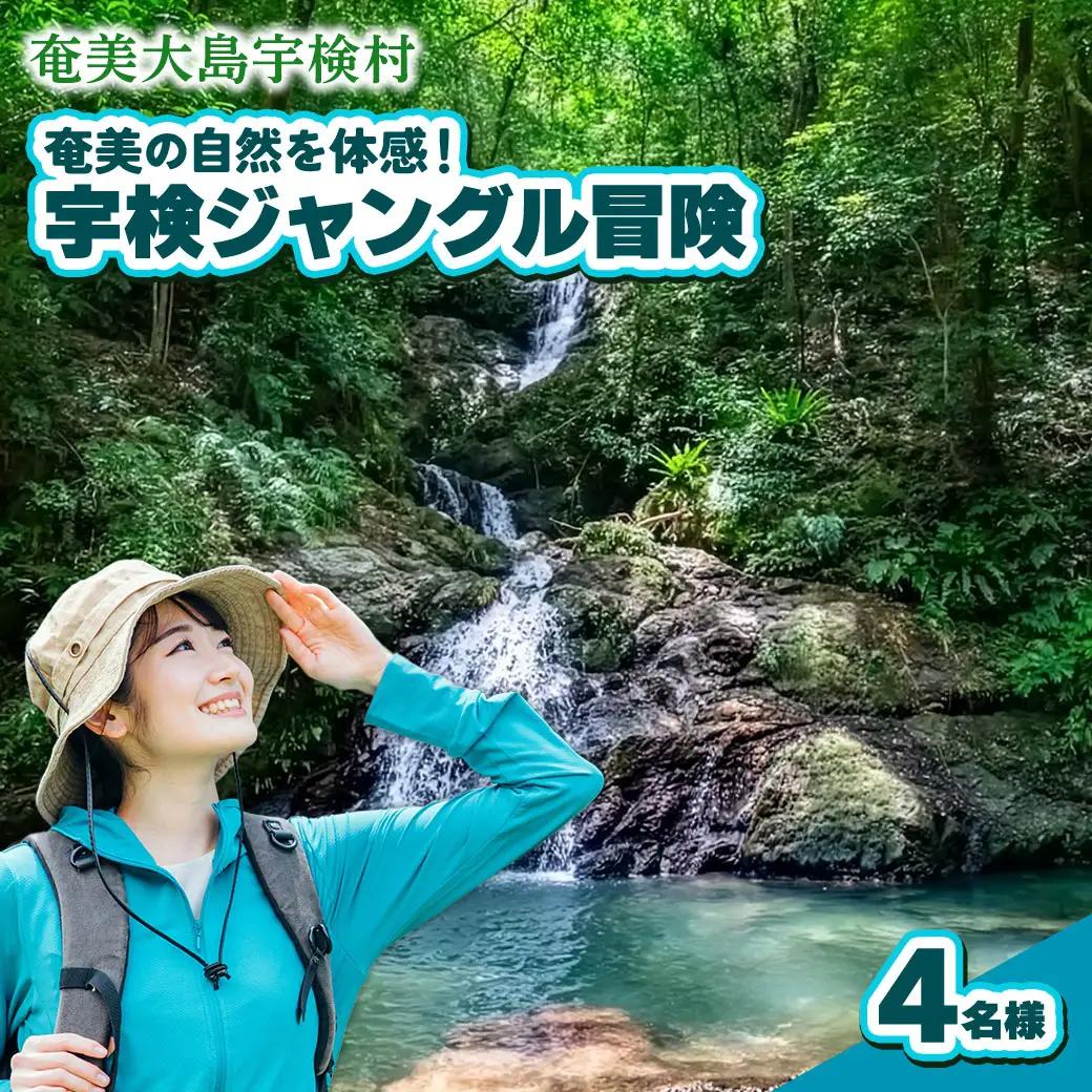 宇検ジャングル冒険 4名様 奄美大島 宇検村 鹿児島県 旅行 自然 冒険 完全プライベート