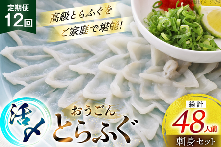 ふぐ 刺身 セット 活〆 おうごんとらふぐ 刺身セット 4人前 12回 定期便 [松永水産 長崎県 平戸市 hr42bgy400166]