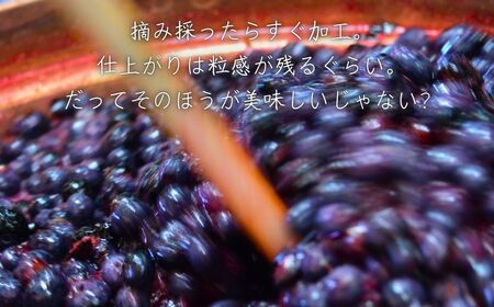 チルチルのジャム 450g×2個セット（ブルーベリー・赤いルバーブ） | ジャム