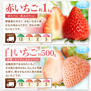 【 定期便 4回 】 まるごと 堪能 ！ 人気 フルーツ （ いちご 白いちご みかん 不知火 スイカ メロン ぶどう シャインマスカット 梨 柿 果物 ）