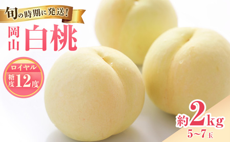桃 2026年 先行受付  白桃 特秀 ロイヤル 大玉 約2kg(5～7玉) 岡山