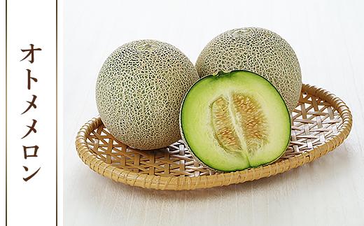 082-2茨城県産オトメメロン【秀品】約5kg（3~5玉）