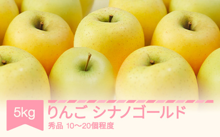 【先行予約】シナノゴールド 秀品 約5kg りんご 令和8年産 2026年産 果物 ※沖縄・離島への配送不可 sb-risgx5