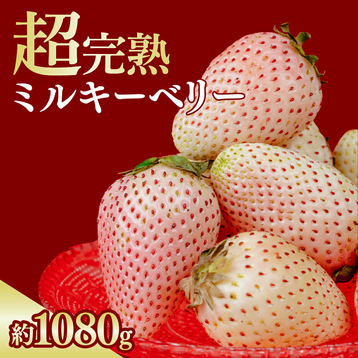 【ふるさと納税】いちご 選手権金賞農園の 厳選& 完熟& 朝摘み ミルキーベリー 1080g 選べる発送月 | いちご イチゴ 苺 ミルキーベリー 第1回いちご選手権金賞 ブランドいちご 完熟 果物 フルーツ 4パック くだもの 旬 産地直送 栃木県産 鈴木いちご園 栃木県 茂木町