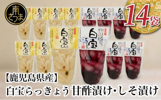 【鹿児島県産】白宝らっきょう 14P（甘酢漬け×7P・しそ漬け7P） ラッキョウ 甘酢らっきょう 惣菜 常温保存 ご飯のおとも 野菜 常温 漬物 国産