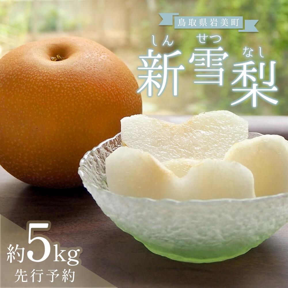 【ふるさと納税】【先行予約】中野農園 梨 ”新雪梨” 5kg箱｜鳥取 岩美 梨 なし ナシ 新雪梨 果物 フルーツ 2025収穫【41023】