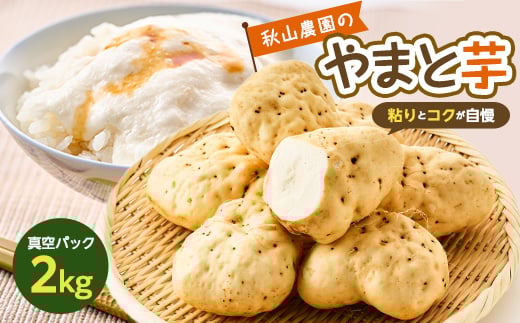 
やまと芋の町 多古から「秋山農園のやまと芋」2kg【1459854】
