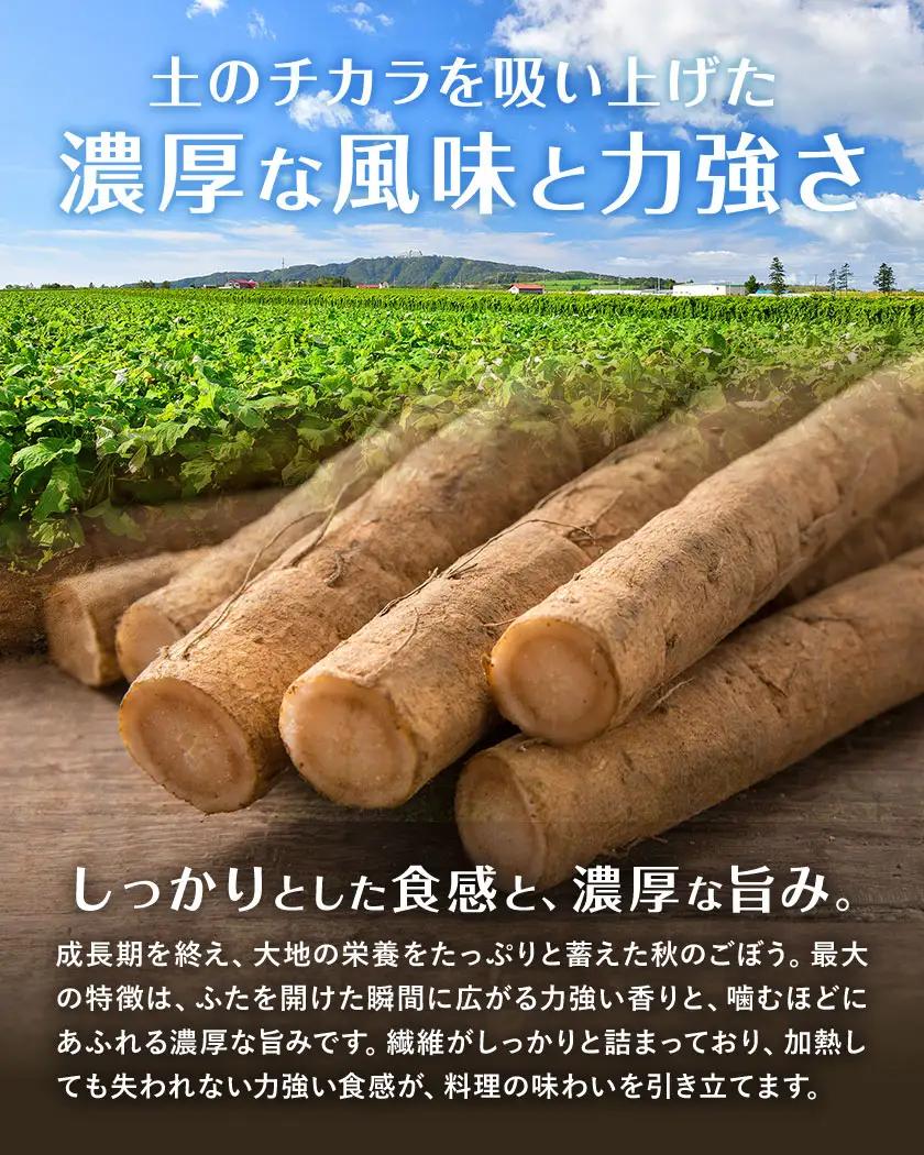 十勝 豊頃町産 ごぼう 約8kg 工房みみずく 北海道 豊頃町