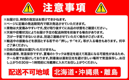 【先行予約】フルーツ定期便 全5回コース 桃 マスカット 梨 【配送不可地域あり】