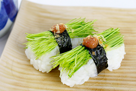 【農薬未使用・無添加】芽ねぎセット（5パック＆栽培キット＆にんにく新芽と海苔の佃煮）