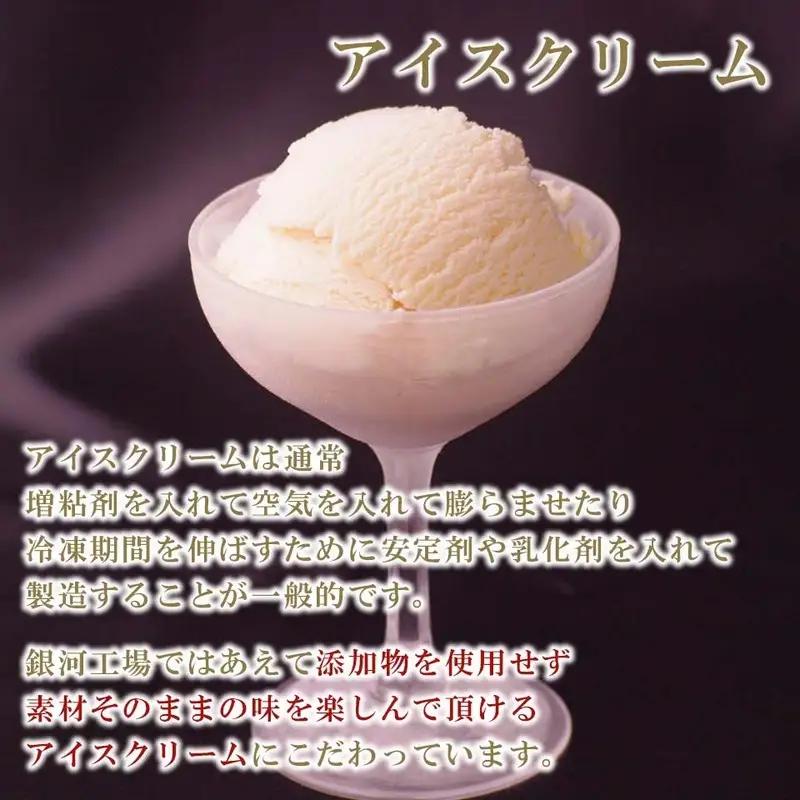 銀河アイス 業務用2リットル マンゴー