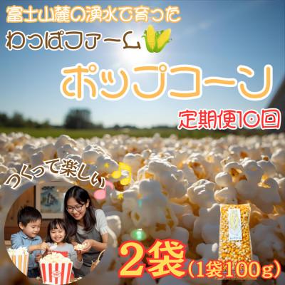 ふるさと納税 西桂町 【毎月定期便】【訳あり】おやつ!!有機栽培で作ったこだわりポップコーン2袋(1袋100g)全10回