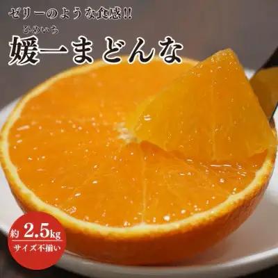 【先行受付】ゼリーのような食感!「媛一まどんな」約2.5kg入【C28-42】【1437098】 YWTN029