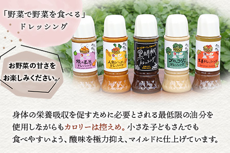 野菜で野菜を食べる ドレッシング 5本 Hセット ＜焼き玉葱/ニンジン/生姜/黒胡椒2本＞ サラダ や 肉料理 にも 詰め合わせ 熊本県 多良木町 調味料 024-0640
