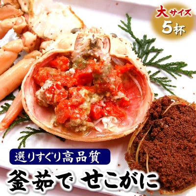 松葉ガニの本場より茹でたてを即出荷　釜茹でセコガニ(冷蔵)　希少な大サイズ　5枚【配送不可地域：離島・北海道・沖縄県・東北】