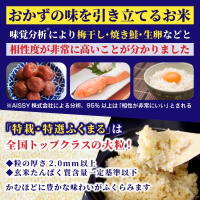 ふるさと納税 ひたちなか市 【先行予約・9月以降順次発送】令和7年　ひたちなか市産　特栽・特選ふくまる(玄米)10kg×1袋 |  | 02