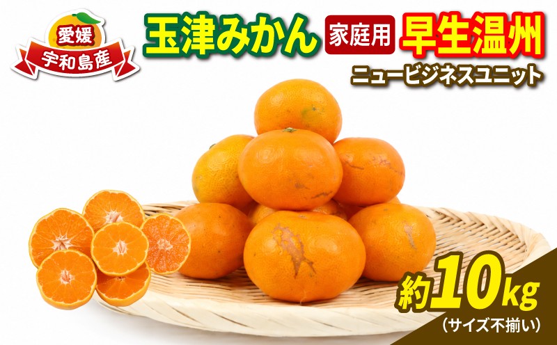 
                  愛媛 みかん 早生 温州 10kg 家庭用 S~L サイズ ミックス 玉津みかん ニュービジネスユニット 先行予約 早生温州 温州みかん 蜜柑 果物 くだもの フルーツ 柑橘 蜜柑 mikan 愛媛蜜柑 愛媛みかん 農家直送 産地直送 数量限定 国産 宇和島 B015-058001
                
