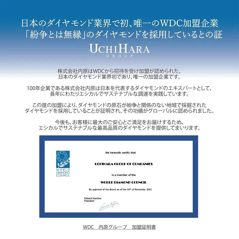 【高島屋選定品】プラチナダイヤモンド スタッドペンダント ダイヤ 0.3ct D IF 3EX (GIA)【鑑別書付き】