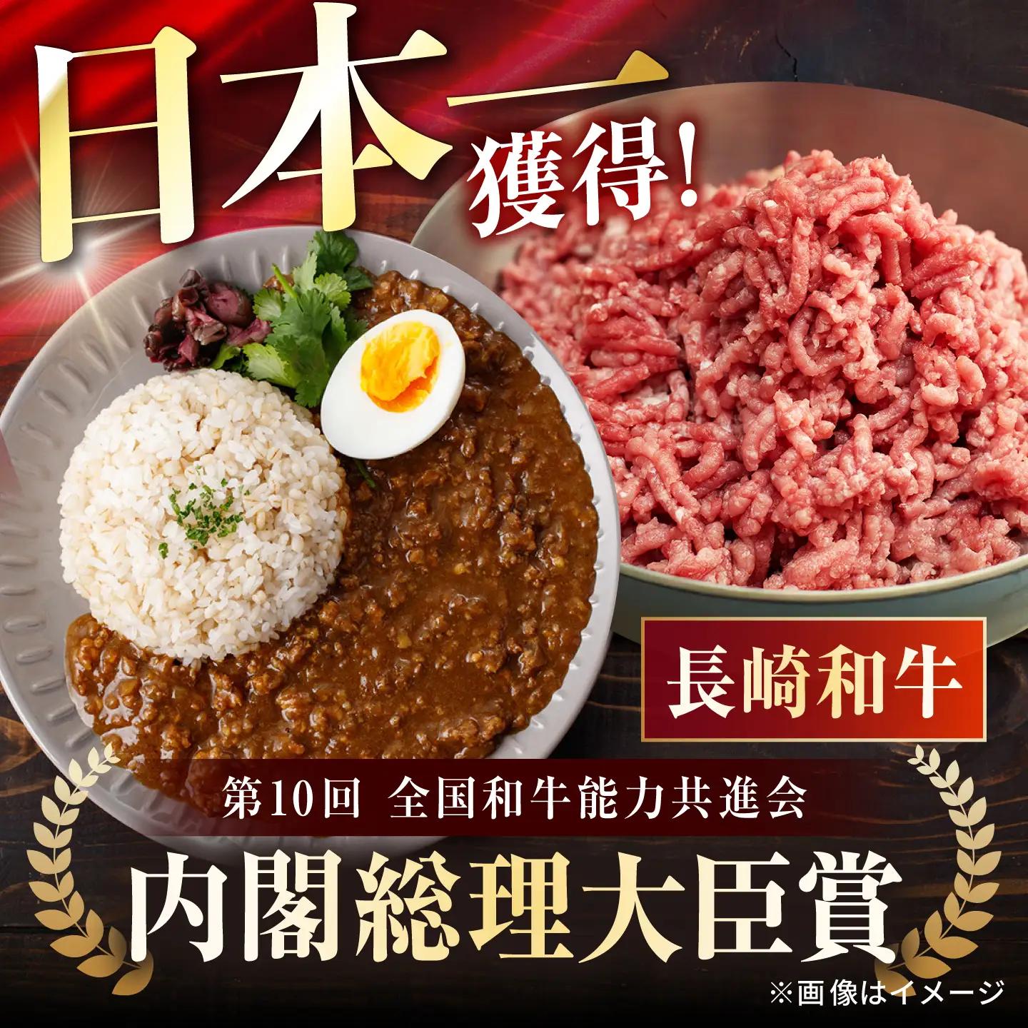 【肉のプロが贈る！究極のカレー】長崎和牛 キーマカレー 800g(200g×4袋) / カレー かれー レトルト 国産和牛 牛肉カレー 冷凍 本格 惣菜 加工品 ギフト お取り寄せ / 諫早市 / 野
