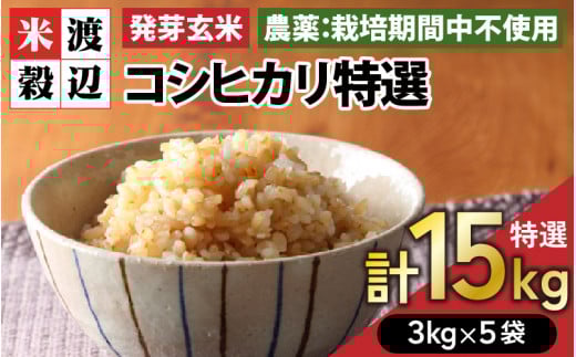 【令和7年産】発芽玄米 コシヒカリ「特選」特別栽培米使用 3kg×5袋（計15kg）【米 こしひかり 玄米 ギャバ GABA 特別栽培 食物繊維 栄養 真空パック ごはん ご飯 おいしい ふるさと納税米】 [J-2905]