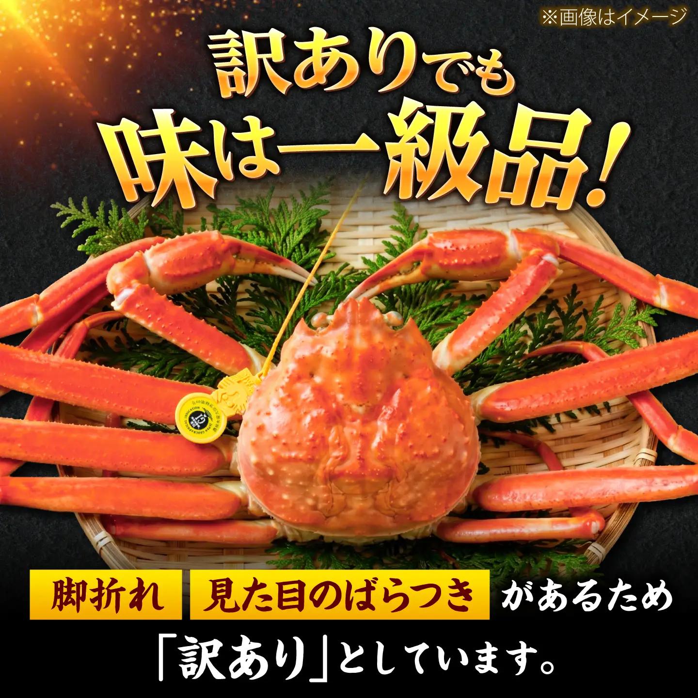 【先行予約/11月7日より順次配送】訳アリ 脚折れあり 越前がに 700g×2ハイ 小浜市 / まるほ商店[BFCS066]
