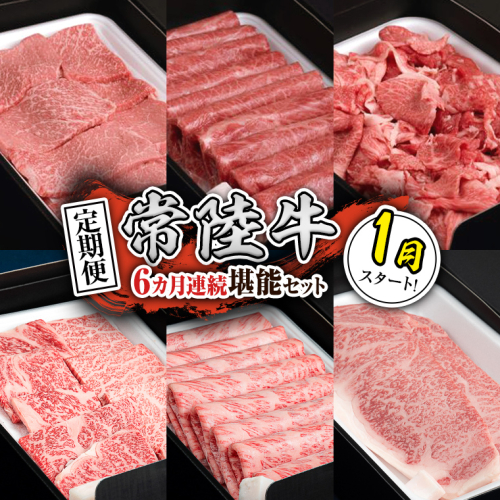 【定期便】【令和8年1月スタート】【全6回】『常陸牛』人気6か月堪能セット（6か月連続でお届け） お肉 肉 牛肉 ステーキ サーロイン 赤身 切り落とし 霜降り カルビ[BX42-NT]