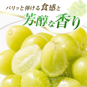シャインマスカット 1kg ブドウ ぶどう フルーツ 果物 