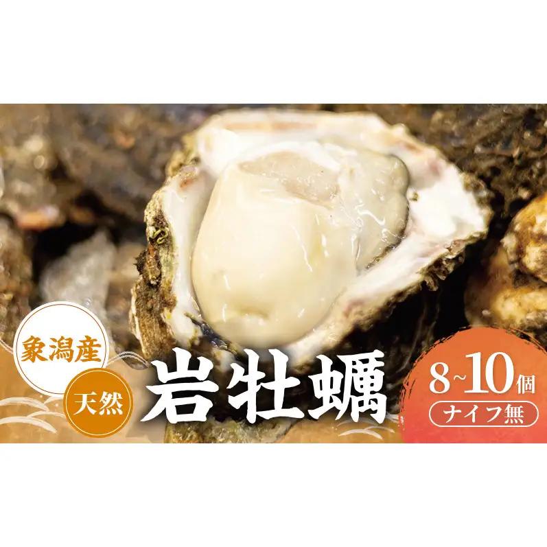 【先行予約】天然岩牡蠣 8~10個 生食可 象潟産 ナイフ無 牡蠣
