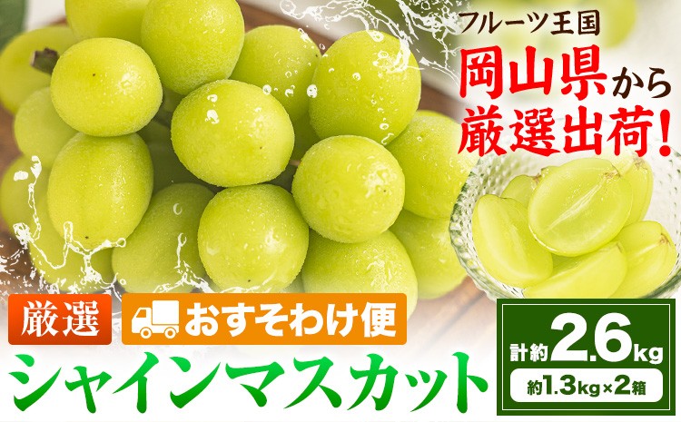 
                  【おすそわけ便】シャインマスカット 計約2.6kg (約1.3kg(2-3房)×2箱)《2026年9月上旬-11月上旬頃出荷》岡山県 笠岡市 シャインマスカット 厳選 ぶどう ブドウ 葡萄 マスカット 果物 フルーツ ギフト
                