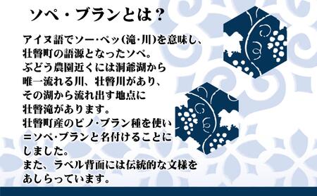 北海道壮瞥産 ソペ・ブラン2023(辛口白ワイン) 750ml×2本 SBTA085