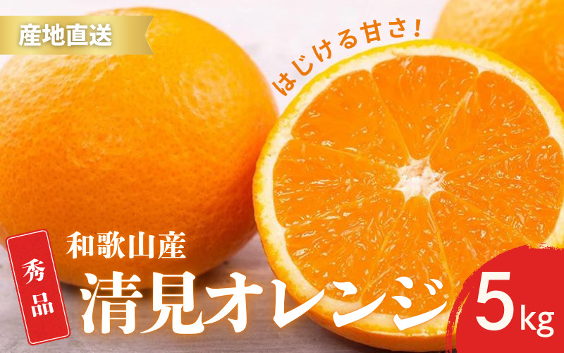 
【先行予約】秀品 きよみ 清見オレンジ 和歌山 有田 S～2Lサイズ 大きさお任せ 5kg【2月中旬～3月下旬頃に順次発送】/ みかん フルーツ 果物 くだもの 蜜柑 柑橘【ktn022】
