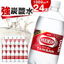 【ふるさと納税】炭酸水 ウィルキンソン タンサン 1000ml 12本 2箱 アサヒ飲料 強炭酸水ペットボトル_ ふるさと納税 ふるさと 炭酸 炭酸水 炭酸飲料 飲料 1L 山梨県 山梨市 山梨 人気 送料無料【1499996】