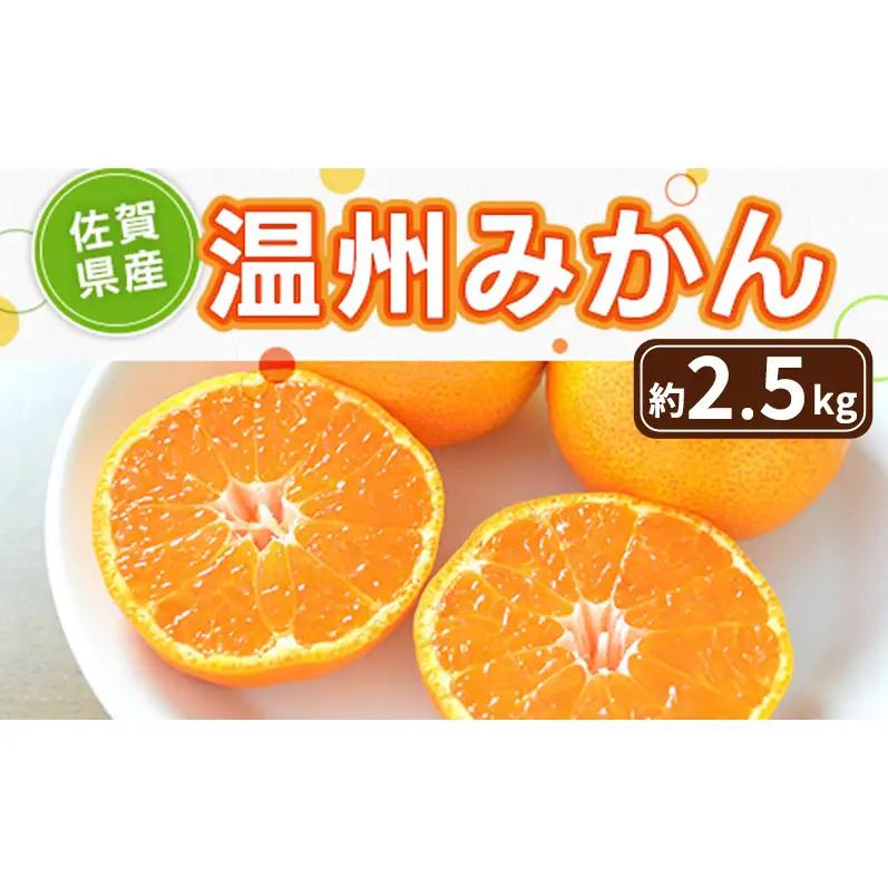 みかん 温州みかん 佐賀県産 みかん【約2.5kg】