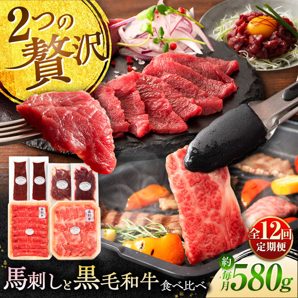 【ふるさと納税】【全12回定期便】「熊本特産馬刺しとくまもと黒毛和牛」フジチクオリジナル贅沢食べ比べセット 3905 / 熊本県 菊陽町 肉 にく 新鮮 お祝 ギフト 贅沢 誕生日 ご褒美 厳選 牛 ぎゅう 【株式会社フジチク】[BHAD053]