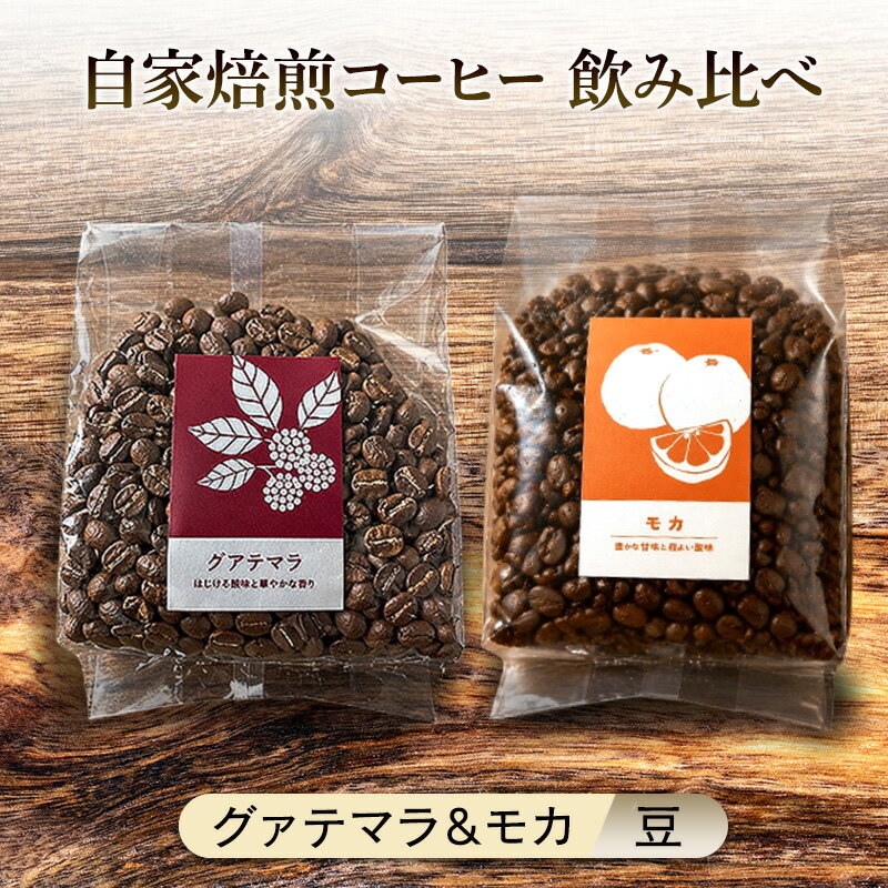 【ふるさと納税】【厳選2種】芳醇なフルーティー飲み比べセット・自家焙煎コーヒー（豆）(グァテマラ221g、モカ285g)