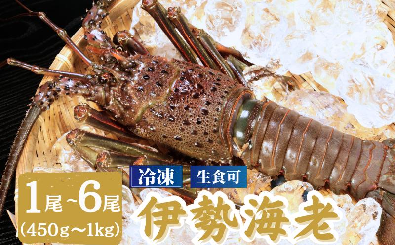 
            冷凍 伊勢海老 （特大）1尾～3尾 800～1000g 、（大）2尾・4尾 600～800g/1尾、（中）2尾・4尾・6尾 450～600g/1尾 イセエビ エビ 海老 甲殻類 急速冷凍 刺し身 刺身 魚 海鮮 おかず 酒 のあて おつまみ 弁当 塩 魚介 惣菜  食品 冷凍食品 グルメ 贈答 贈り物 プレゼント ギフト お取り寄せ ふるさと納税 送料無料 千葉県 銚子市 飯田水産株式会社
          