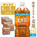 【ふるさと納税】【5か月定期便】健康ミネラル麦茶 2L×6本(合計5ケース)【伊藤園 麦茶 むぎ茶 ミネラル ノンカフェイン カフェインゼロ】C1-R071345