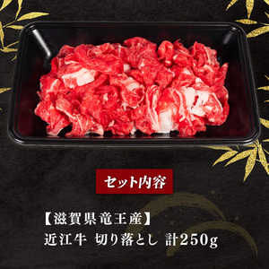竜王町産近江牛 牛肉切落し 250g / 牛肉切り落とし[E501_N1_8] 8月発送