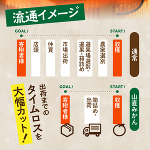 MK1038_【2025年先行予約】みかん 山から直送 箱込 5kg ( 内容量 4.4kg ) 鮮度優先ごろごろ規格 和歌山県産 産地直送 家庭用 【みかんの会】
