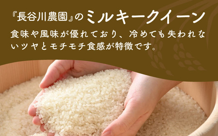 【令和7年産 新米】定期便《12ヶ月連続お届け》ミルキークイーン 精米 10kg（5kg×2袋）計120kg＜低農薬栽培＞ ／ 高品質 鮮度抜群 福井県あわら市産 白米 お米 米 [aw066-p00