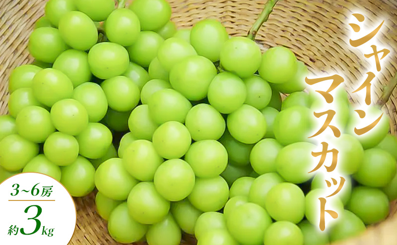 シャインマスカット 3～6房 約3kg ぶどう ブドウ 葡萄 マスカット 果物 フルーツ 長野県 長野 山ノ内町