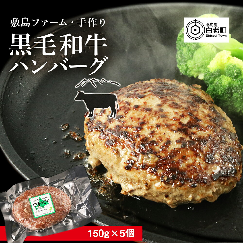 【ふるさと納税】大人気！黒毛和牛手作りハンバーグセット≪敷島ファーム≫ハンバーグ 加工肉 惣菜 肉料理 黒毛和牛 北海道ふるさと納税 白老 ふるさと納税 北海道 クリスマス