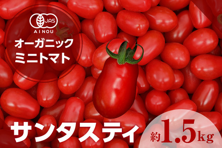 オーガニックミニトマト（サンタスティ）約1.5kg 甘い 濃い 旨味 安心 栄養 リコピン 高糖度 やみつき おやつ 縦長 フルーティー サラダ 有機栽培 化学肥料不使用 オーガニック 野菜 お取り寄せ 愛知県 知多市 特産品