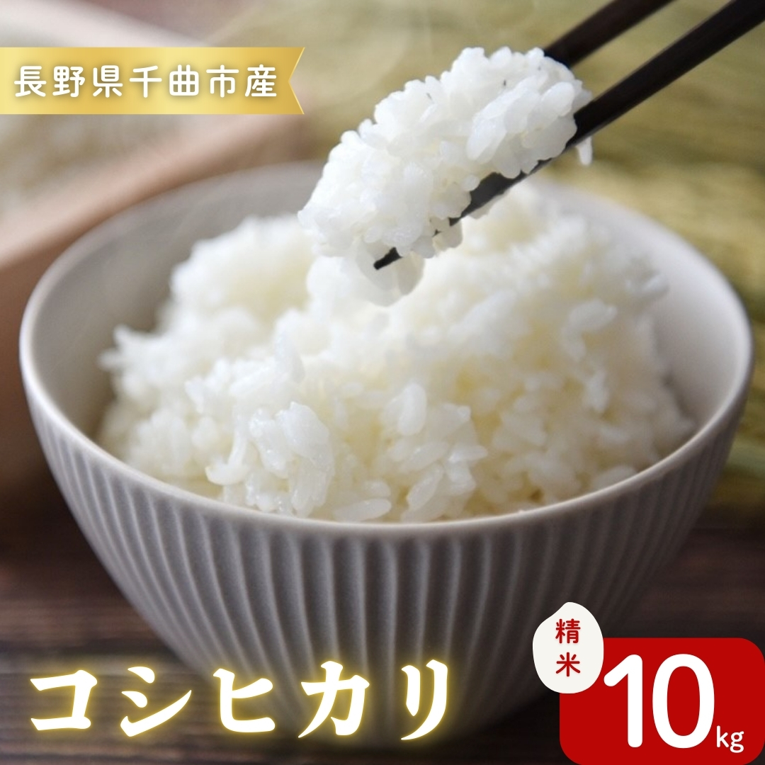 令和7年産コシヒカリ精米10kg｜ コシヒカリ ご飯 米 白米 千曲市 長野県 信州