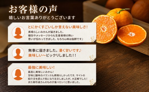 ＜涼果の旨み 愛媛県産河内晩柑 合計約2.5kg＞『2027年3月中旬～7月上旬迄に順次出荷予定』 訳あり 上品な味わい 爽やか ミカン 蜜柑 ご家庭用 果汁 果物 くだもの フルーツ オレンジ 柑橘