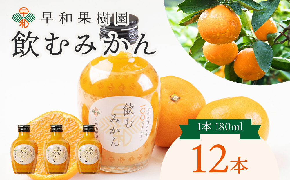 【数量限定 TVで何度も放映！】 飲むみかん 180ml×12本 早和果樹園 ｜ 果汁100％ストレートみかんジュース 和歌山県 有田市 （A613-4）