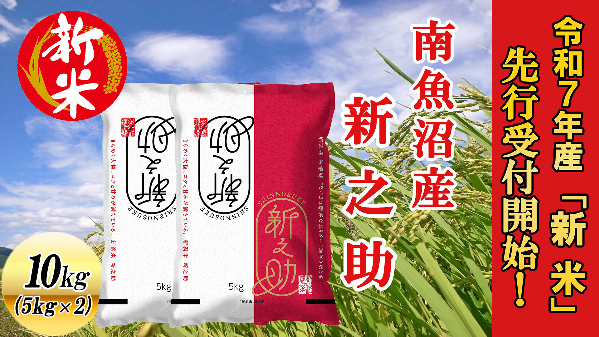 【令和7年産新米先行予約】南魚沼産新之助10kg【2025年10月下旬より順次発送予定】