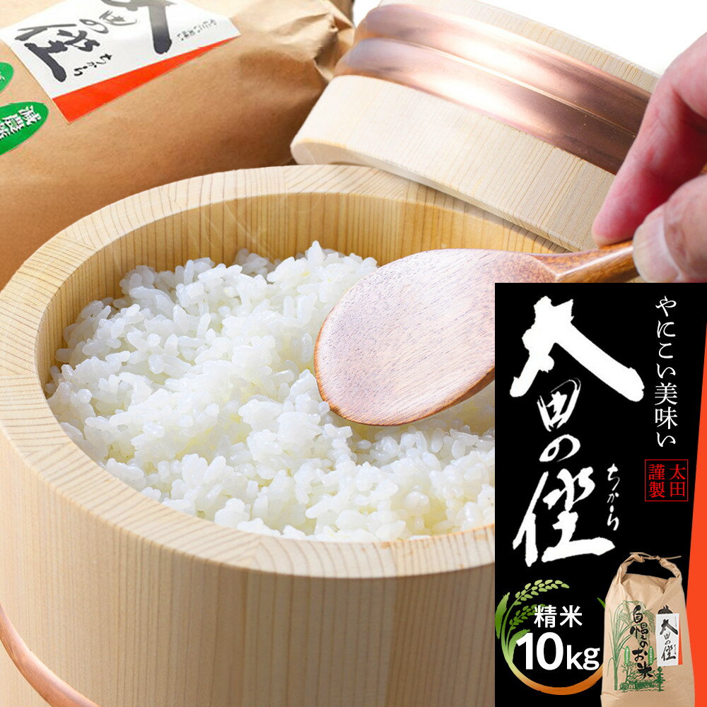 【ふるさと納税】『太田のちから』10kg 減農薬栽培・有機質肥料栽培のコシヒカリ